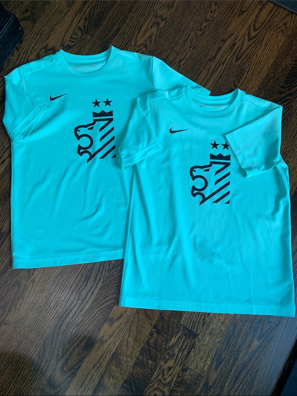 Nike Dri-Fit Kings Hammer Soccer Practice Teal Shirts (26/27 Season) - Youth XL